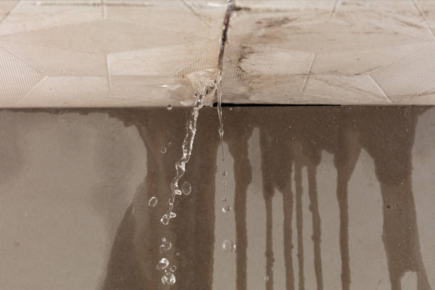 Professional Flood Damage Cleanup technician working in Pelham, NY